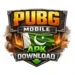 PUBG Mobile APK Download logo featuring PUBG branding and Pakistan theme for Android users in 2026.